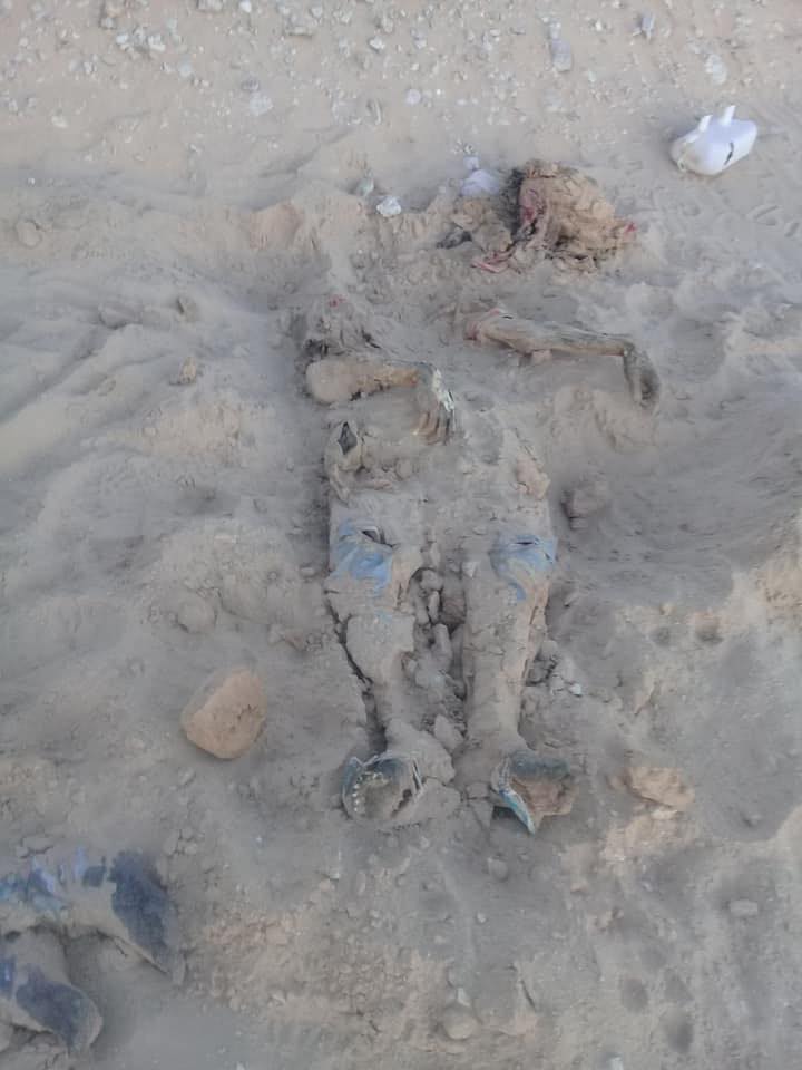 العثور على 5 جثامين متحللة لمهاجرين غير شرعيين جنوب طبرق