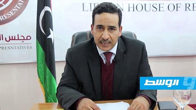 النويري: المسار الدستوري هو الوحيد والأقرب لحل الأزمة السياسية في ليبيا