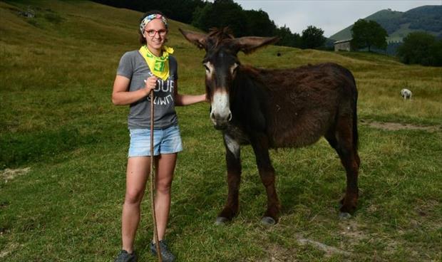 شابة إيطالية تتفرغ لتربية الحمير والأبقار في جبال الألب
