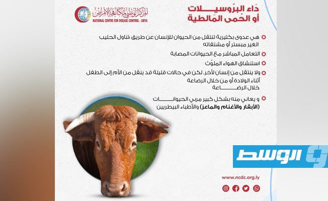 المركز الوطني الليبي لمكافحة الأمراض يقدم بعض النصائح للتوعية حول مرض داء البروسيلات (فيسبوك)