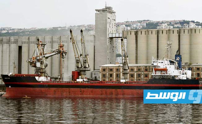 أوكرانيا: تصدير 13 مليون طن من البضائع عبر ممر البحر الأسود