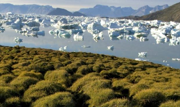 إدراج منطقة في غرينلاند على قائمة التراث العالمي