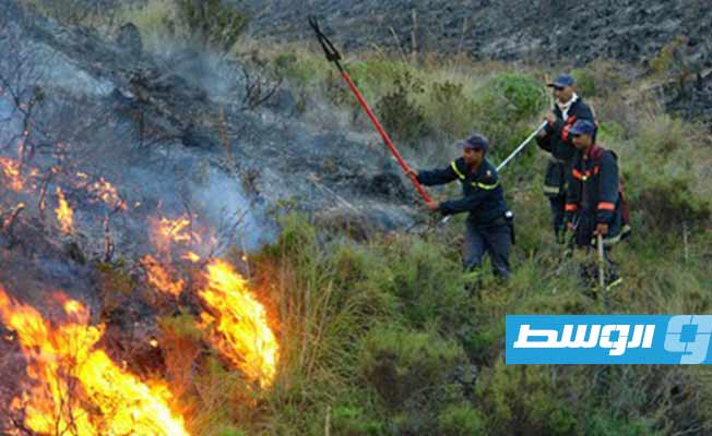 حرائق غابات عنيفة في شمال المغرب.. والجيش يشارك في محاولات الإطفاء