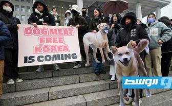 كوريا الجنوبية تقر قانونا يحظر تجارة لحوم الكلاب