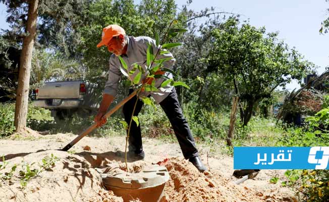 «فرانس برس»: القطع الجائر للغابات والزحف العمراني والجفاف مثلث يهدد طرابلس