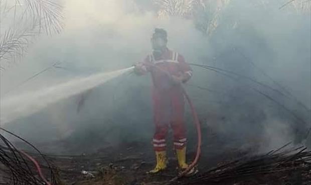 رجل إطفاء أثناء إخماد حريق بمزارع النخيل في مرادة. (هيئة السلامة الوطنية)