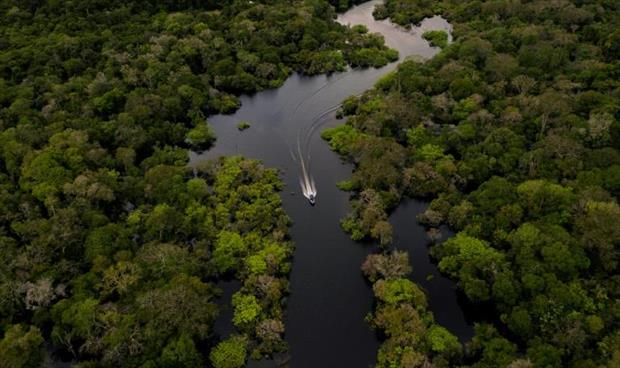 مخاوف في البرازيل من قانون جديد يهدد بقاء «الأمازون»