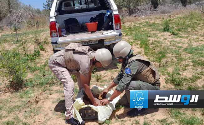 فريق تفكيك المتفجرات ينتشل القذيفتين من مزرعة مواطن في منطقة خلة الفرجان، الإثنين 19 فبراير 2024 (وزارة الداخلية)