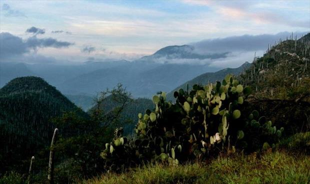 إدراج وادي مكسيكي في قائمة التراث العالمي