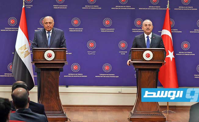 شكري: لدى مصر وتركيا رغبة مشتركة لتوحيد المؤسسات الليبية