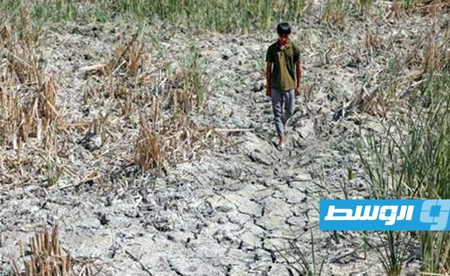 الأمم المتحدة: أهوار جنوب العراق فقدت 70% من المياه