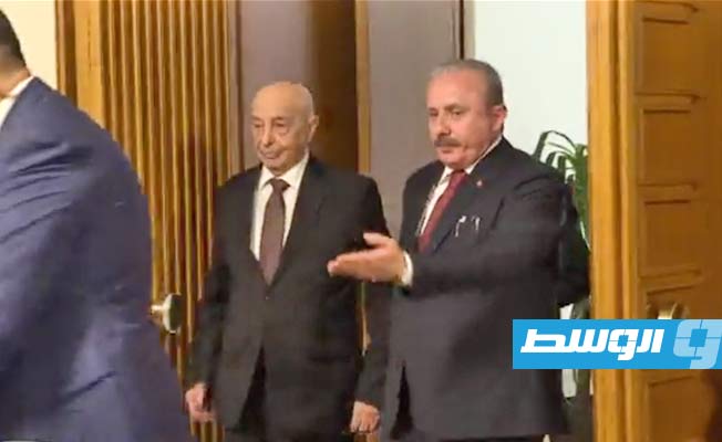 من لقاء عقيلة صالح مع رئيس البرلمان التركي في أنقرة، 2 أغسطس 2022. (البرلمان التركي)