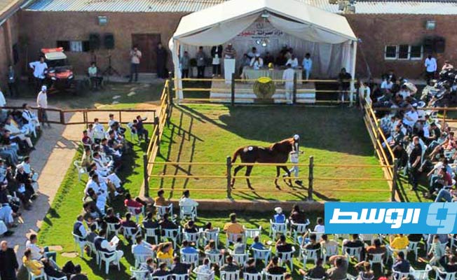 من مزاد للخيول أقيم في مصراتة بليبيا، مايو 2022 (الأناضول)