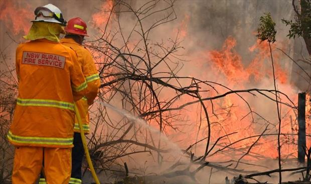السلطات الأسترالية تقر بعجزها عن إخماد حريق «هائل» قرب سيدني