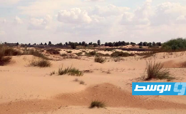 تقرير: ليبيا تواجه خطر زحف التصحر وسط انشغال السلطات بالحروب