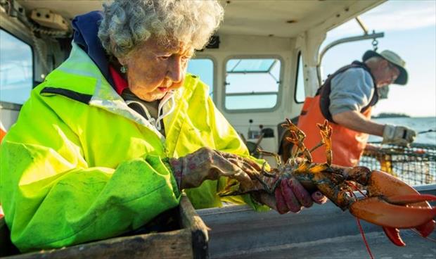 «سيدة الكركند» تواصل الصيد رغم تخطيها 100 عام