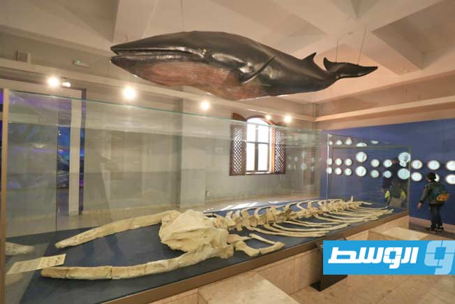 The National Museum in Tripoli reopens to the public, announces ticket prices