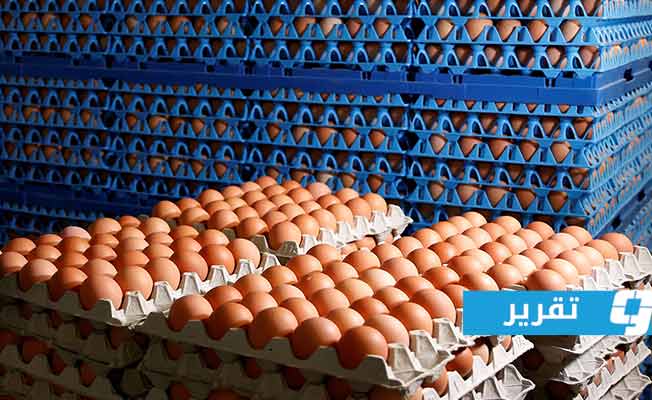 ارتفاع «جنوني» بأسعار البيض في ليبيا