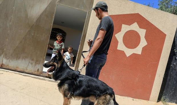 منع اصطحاب الكلاب إلى الأماكن العامة في غزة