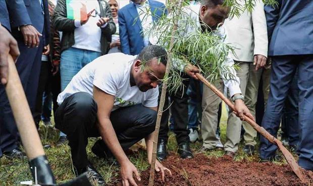 رقم قياسي عالمي..إثيوبيا تزرع 224 مليون شجرة في يوم واحد