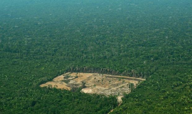 قطع الأشجار يتسبب في مقتل زعيم للسكان الأصليين بالأمازون