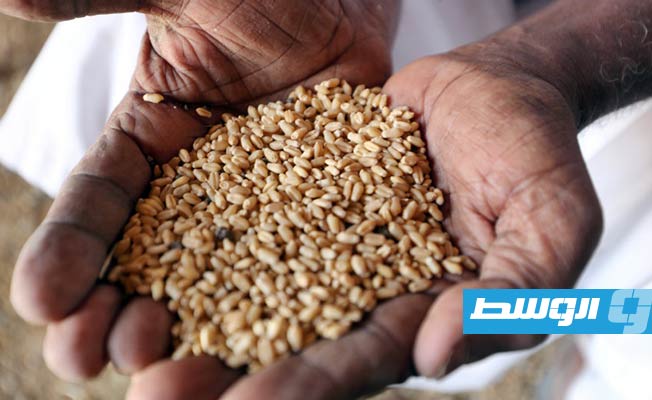 البنك الدولي يخصص 100 مليون دولار لمكافحة الجوع في السودان