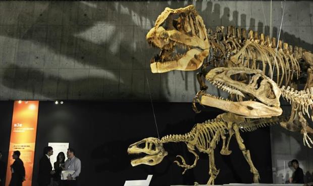 ديناصور من العصر الجوراسي للبيع في مزاد باريسي