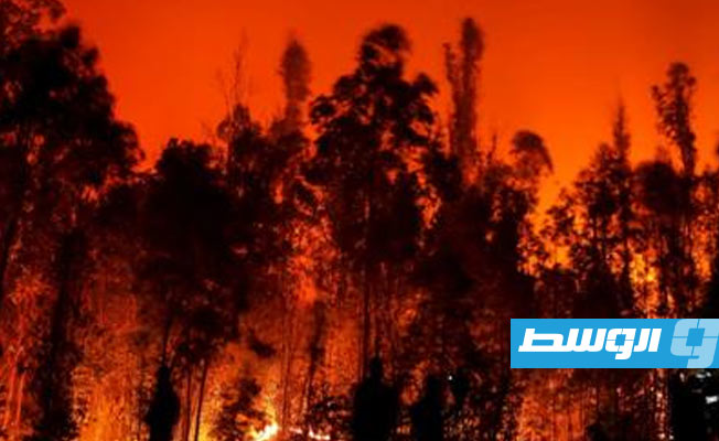 موجة حر شديدة.. 24 وفاة وأكثر من 1100 جريح في حرائق غابات ضخمة بتشيلي