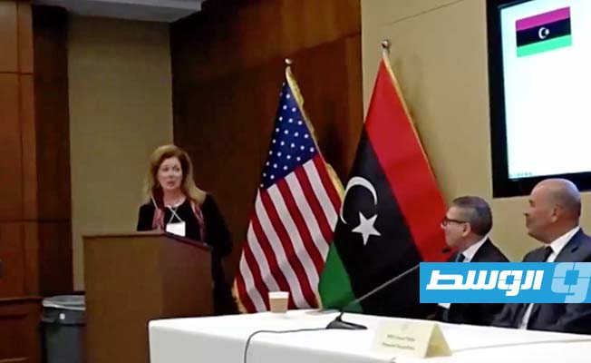 وليامز: مصر وتركيا يجب أن تتفقا بخصوص مستقبل ليبيا