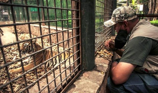 حديقة مكسيكية تنقذ حيوانات معرضة للخطر بسبب «كورونا»