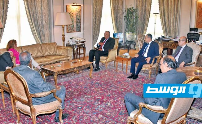 وزير الخارجية المصري سامح شكري في لقائه مع ستيفاني وليامز، 30 أغسطس 2020. (الخارجية المصرية)
