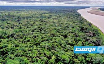 تضاعف انبعاثات الكربون في الأمازون خلال عهد الرئيس البرازيلي السابق
