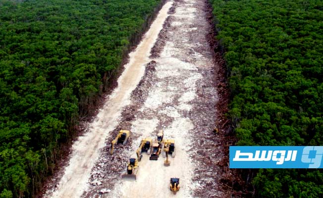 حظر قطع الأشجار بموقع بناء خط «قطار المايا» في المكسيك