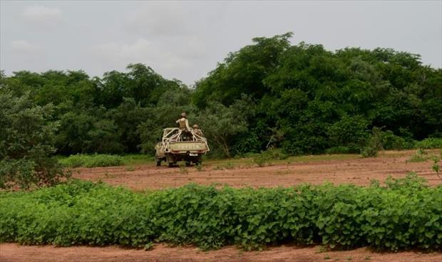 محمية الزرافات في خطر إثر الهجوم الإرهابي في النيجر