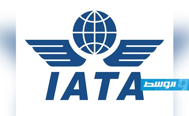 «إياتا»: نناشد حكومات الشرق الأوسط وأفريقيا التحرك سريعا لحماية شركات الطيران