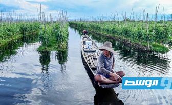 الحقول العائمة تغزو بحيرة إنلي البورمية الغنية بتنوعها الحيوي