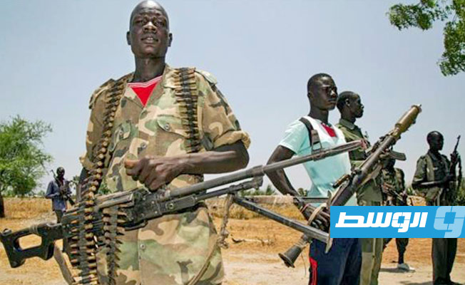 الأمم المتحدة تقترح ثلاثة معايير لتقييم جدوى حظر الأسلحة إلى جنوب السودان