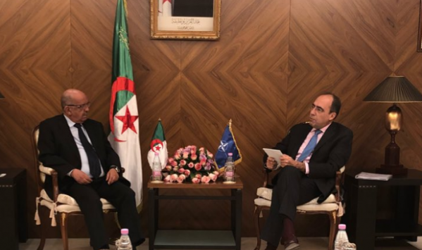 «ناتو» يجدد حواره المتوسطي مع الجزائر حول تطورات الوضع الليبي