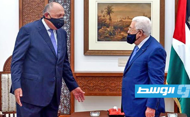 عباس وشكري يبحثان استئناف مفاوضات حل الدولتين