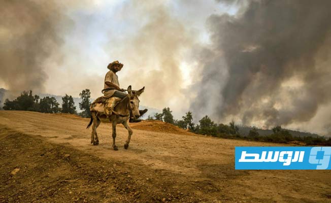 حريق شب في غابة بالقرب من مدينة القصر الكبير المغربية في منطقة العرائش. (الإنترنت)