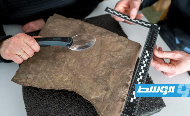 اكتشاف أقدم حجر يحمل نقوشا بالأحرف الرونية بالنرويج