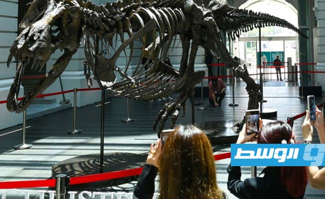 إلغاء عملية بيع هيكل عظمي لديناصور في هونغ كونغ