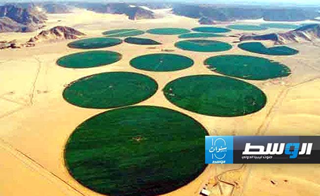 اتفاق المياه الجوفية.. كيف يحقق نهضة زراعية في ليبيا والجزائر وتونس؟