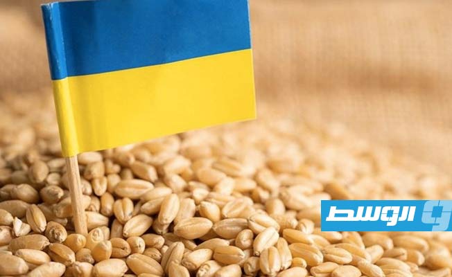 بلغاريا تحظر واردات الحبوب الأوكرانية والمجر توسع القيود