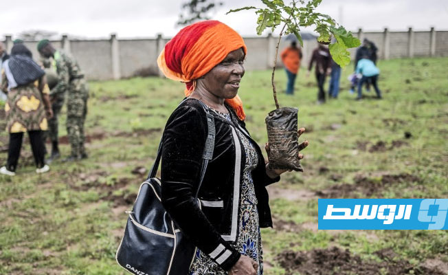 كينيا تقر يوم عطلة رسميا لتحفيز المواطنين على غرس 100 مليون شجرة