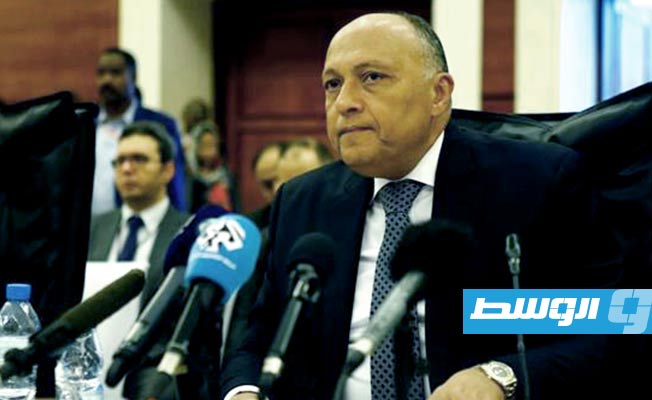 «الخارجية المصرية» تبحث مع وفد من الكونغرس الأميركي تطورات سد النهضة ومكافحة الإرهاب