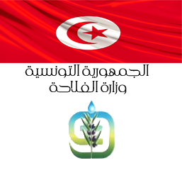 تونس تنفي وجود أسراب «الجراد الصحراوي» على حدودها مع ليبيا