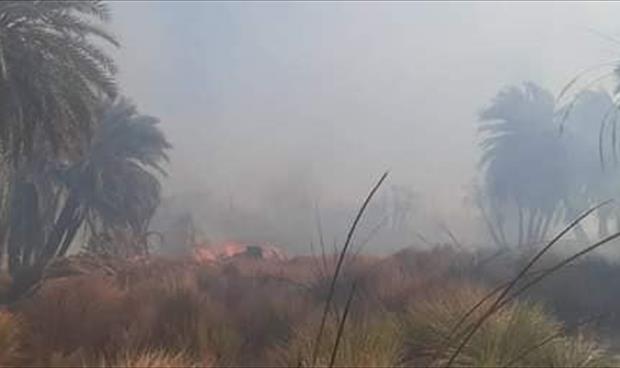 حريق هائل يلتهم أكثر من 10 آلاف نخلة في بلدية تازربو