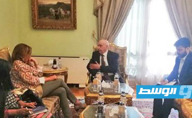 لقاء عقيلة صالح ووليامز بالقاهرة، الخميس 16 يونيو 2022. (حساب وليامز على تويتر)
