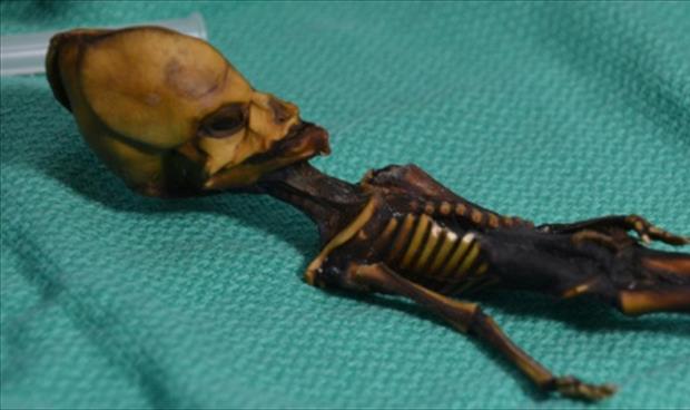 حقائق مثيرة عن الهكيل العظمي المكتشف في أتاكاما